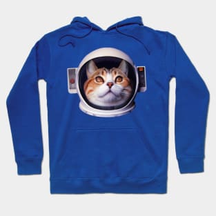 Astraminals Ginger Catnaut Hoodie